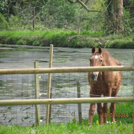 Villa L'Orangerie Du Grand Jardin Condé-sur-Seulles Esterno foto